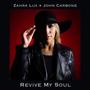 Revive My Soul (feat. John Carbone)