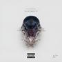 Alien!★: XZIBET (Explicit)