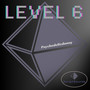 Level 6