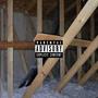 TRAP OUT THE ATTIC (Explicit)