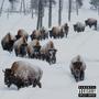 BIG LIKE A BISON (Explicit)