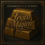 LÉXICO MAXICO (feat. P-Terko) [Explicit]