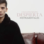 Despierta Instrumentales