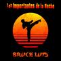 Bruce Luis