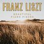 Franz Liszt - Beautiful Piano Pieces