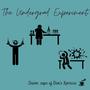 The Undergrad Experiment