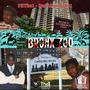 Bronx Zoo (Explicit)