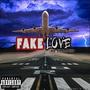 Fake Love (Explicit)