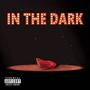 In The Dark (Explicit)