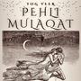 PEHLI MULAQAT (feat. Mamta Singh)