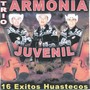 16 Exitos Huastecos