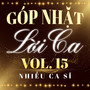 Góp Nhặt Lời Ca - Nhiều ca sĩ (Vol. 15)