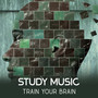 Study Music: Train Your Brain – Relaxation Sounds, Increase Memory, Reduce Your Stress Before Exam, Concentrate and Focus