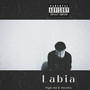 Labia