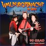 Walpurgisnacht im Harz