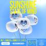 Sunshine State Of Mind (Extended Mix)