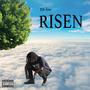 RISEN (Explicit)