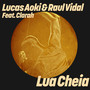 Lua Cheia
