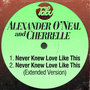 Never Knew Love Like This / Never Knew Love Like This (Extended Version)