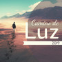 Camino de Luz 2019 - 1 Hora de Música de Fondo Celestial Sanación y Meditación Cristiana