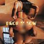 Drop it low (feat. Jtproductionz) [Explicit]