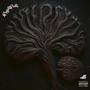 The Membrane (Explicit)
