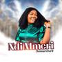 Ndi Mmeri