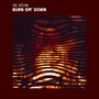 Burn em' Down (Explicit)