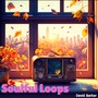 Soulful Loops