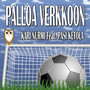 Palloa verkkoon