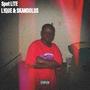 Spot LITE (feat. Skandolus) [Explicit]