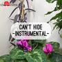 Can't Hide (Instrumental )