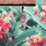 Relocation (Explicit)