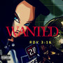 Wanted (Explicit)