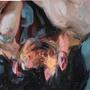 green blood (feat. kurtains) [Explicit]
