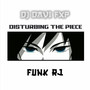 DISTURBING THE PIECE FUNK RJ (Explicit)