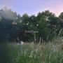 fireflies