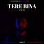 Tere Bina