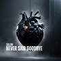 Never Said Goodbye