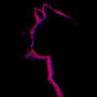 IT'S 4AM AND IM THINKIN BOUT U (Explicit)