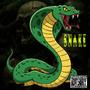 SNAKE (Explicit)
