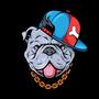 BLUEHOUND (Explicit)