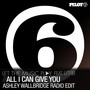 All I Can Give You (Ashley Wallbridge Radio Edit)