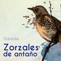 Zorzales de Antaño…Volverás