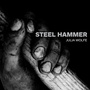 Wolfe, J.: Steel Hammer (Bang on A Can All-Stars, Mediaeval Trio)