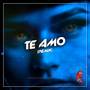 Te Amo - Remix