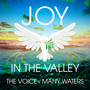 Joy in the Valley