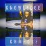 Knowledge (Explicit)