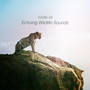 Echoing Wildlife Sounds