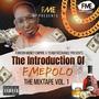 The Introduction Of FME POLO (Explicit)